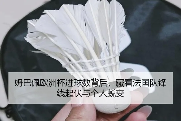 姆巴佩欧洲杯进球数背后，藏着法国队锋线起伏与个人蜕变